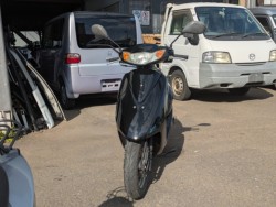 �z���_�f�B�I�i���Q�������s�j�摜3