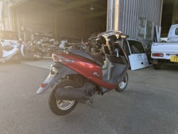 �z���_�f�B�I�i���Q�������s�j�摜6