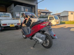 �z���_�f�B�I�i���Q�������s�j�摜8