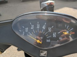 �z���_�f�B�I�i���Q�������s�j�摜11