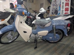 �z���_&nbsp;�X�[�p�[�J�u50�iAA09�j 