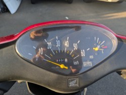 �z���_�f�B�I�i���Q�������s�j�摜11