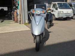 �z���_�f�B�I�i���Q�������s�j�摜3