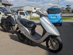 �z���_�f�B�I�i���Q�������s�j�摜4