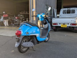 �z���_�W�����m�i���Q�������s�j�摜2