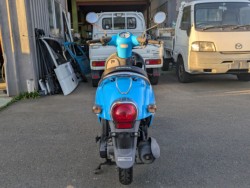 �z���_�W�����m�i���Q�������s�j�摜3