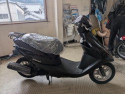 �z���_�f�B�I�i���Q�������s�j�摜4