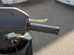 �z���_�f�B�I�i���Q�������s�j�摜8