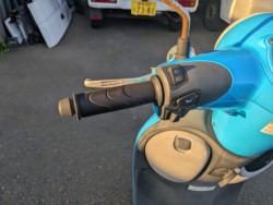 �z���_�W�����m�i���Q�������s�j�摜5