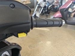 �z���_�f�B�I�i���Q�������s�j�摜8