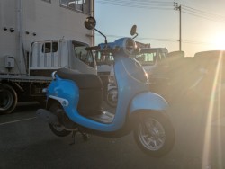 �z���_�W�����m�i���Q�������s�j�摜12