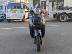 �z���_�W�����m�i���Q�������s�j�摜5