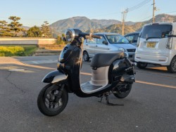 �z���_�W�����m�i���Q�������s�j�摜2