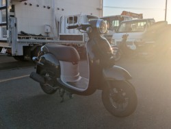 �z���_�W�����m�i���Q�������s�j�摜3