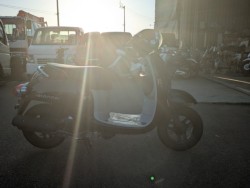 �z���_�W�����m�i���Q�������s�j�摜4