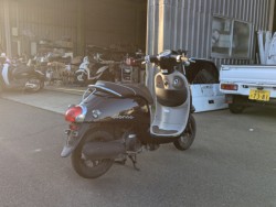 �z���_�W�����m�i���Q�������s�j�摜6