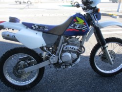 z_XR250iQFaS쒬j摜2