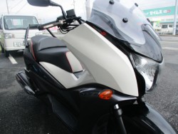 �z���_�t�F�C�YTYPE-S�i���Q����F�a�S���쒬�j�摜2