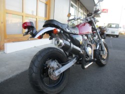 �z���_�G�C�v50�i���Q����F�a�S���쒬�j�摜2