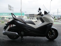 �z���_�t�F�C�YTYPE-S�i���Q����F�a�S���쒬�j�摜3