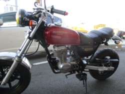 �z���_�G�C�v50�i���Q����F�a�S���쒬�j�摜3