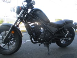 �z���_���u��250�i���Q����F�a�S���쒬�j�摜4
