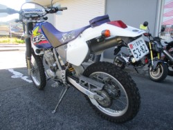 z_XR250iQFaS쒬j摜6