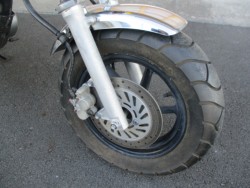 �z���_�G�C�v50�i���Q����F�a�S���쒬�j�摜4