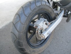 �z���_�G�C�v50�i���Q����F�a�S���쒬�j�摜5