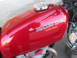 �z���_�G�C�v50�i���Q����F�a�S���쒬�j�摜7