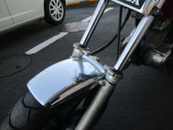 �z���_�G�C�v50�i���Q����F�a�S���쒬�j�摜9