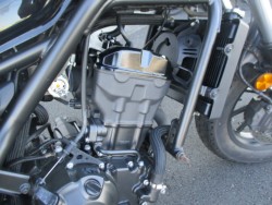 �z���_���u��250�i���Q����F�a�S���쒬�j�摜12