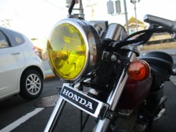 �z���_�G�C�v50�i���Q����F�a�S���쒬�j�摜10