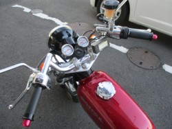 �z���_�G�C�v50�i���Q����F�a�S���쒬�j�摜11