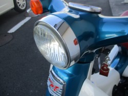 �z���_���g���J�u�i���Q����F�a�S���쒬�j�摜15