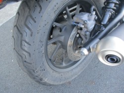 �z���_���u��250�i���Q����F�a�S���쒬�j�摜15