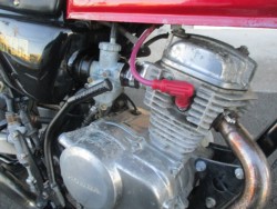 �z���_�G�C�v50�i���Q����F�a�S���쒬�j�摜14