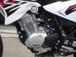 ���}�nXTZ125�i���Q�����R�s�j�摜10
