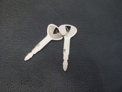 ���}�n�W���O�i���Q�����R�s�j�摜10