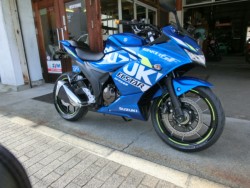 XYL GIXXER(WNT[) 