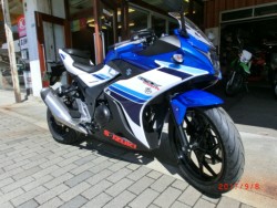 XYL GSX250R 