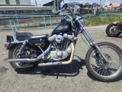 �n�[���[�n�[���[�_�r�b�h�\��XL883�i���Q���ɗ\�S���O���j�摜5
