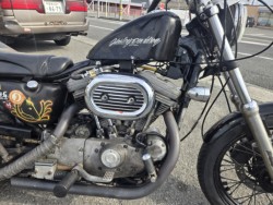 �n�[���[�n�[���[�_�r�b�h�\��XL1200C�i���Q���ɗ\�S���O���j�摜6