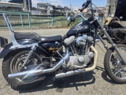 �n�[���[�n�[���[�_�r�b�h�\��XL883�i���Q���ɗ\�S���O���j�摜6