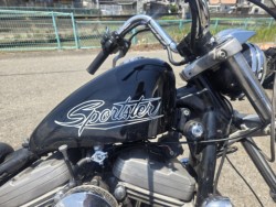 �n�[���[�n�[���[�_�r�b�h�\��XL883�i���Q���ɗ\�S���O���j�摜4