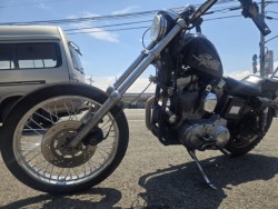 �n�[���[�n�[���[�_�r�b�h�\��XL883�i���Q���ɗ\�S���O���j�摜3
