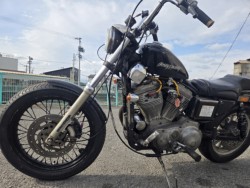 �n�[���[�n�[���[�_�r�b�h�\��XL1200C�i���Q���ɗ\�S���O���j�摜5