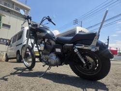 �n�[���[�n�[���[�_�r�b�h�\��XL883�i���Q���ɗ\�S���O���j�摜7