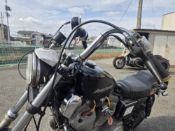 �n�[���[�n�[���[�_�r�b�h�\��XL1200C�i���Q���ɗ\�S���O���j�摜8