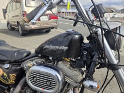 �n�[���[�n�[���[�_�r�b�h�\��XL1200C�i���Q���ɗ\�S���O���j�摜10